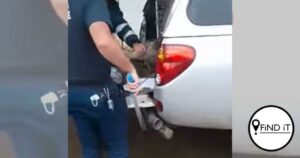 Video wat wys hoe ‘SPCA’ gans met voorwerp doodmaak, laat mense woedend