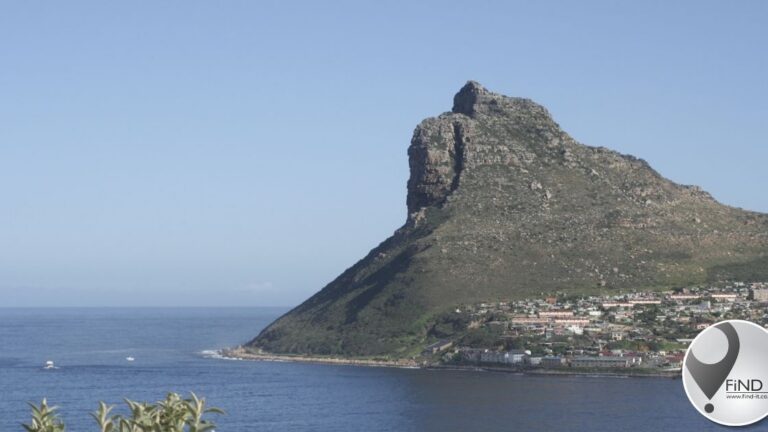 Inligting gesoek na valskermswewer by Leeukop sterf