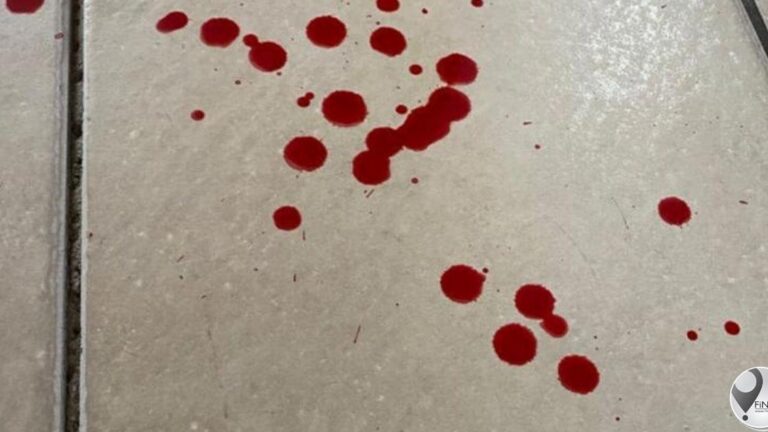 Seun wat glo ma se bloed ‘gedrink’ het nadat hy haar na bewering vermoor het – laat vaar borgtog