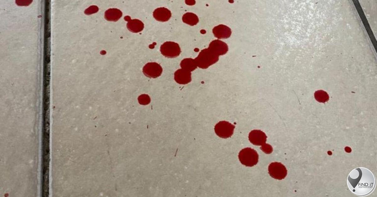 Seun wat glo ma se bloed ‘gedrink’ het nadat hy haar na bewering vermoor het – laat vaar borgtog