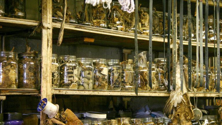 Witch,Doctor,Supply,Store,In,Johannesburg,Sells,Plants,,Parts,Of