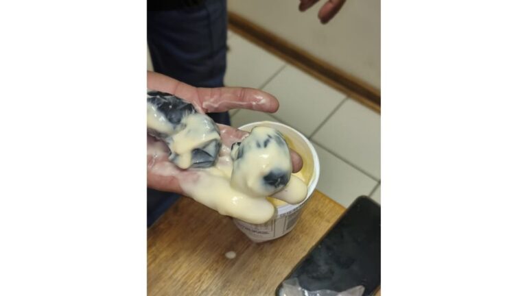 Ryloper in hegtenis na dwelms in glo jogurt bakkies gevind is
