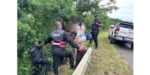Ontbinde liggaam in beboste gebied ontdek