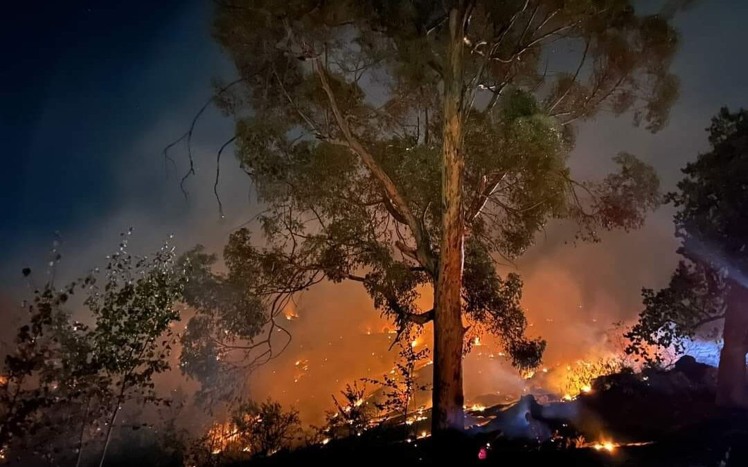 Paarlberg brand onder beheer Foto: Rasaad Adams