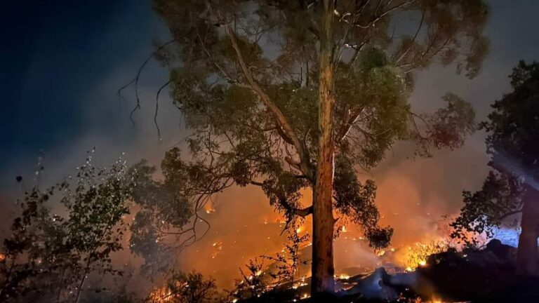 Paarlberg brand onder beheer Foto: Rasaad Adams