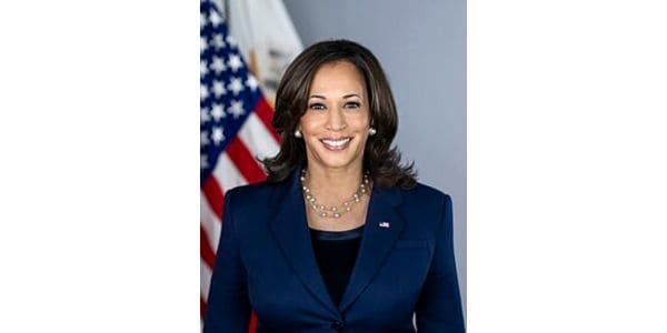 Kamala Harris-veldtog ook geteiken deur kuberkrakers