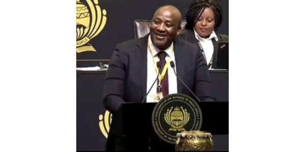 Minister Gayton McKenzie en komediant David Kau pak mekaar aan op X