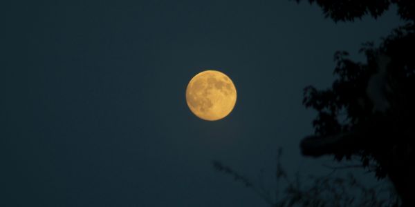 Kyk vanaand na die supermaan, dis eers weer in 2037 hier