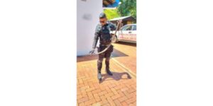 Hond dood na byt deur swartmamba
