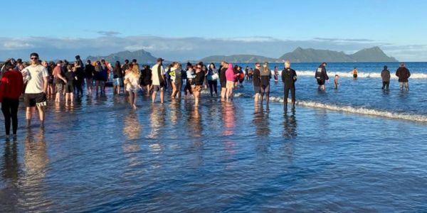 Meer as 30 gestrande walvisse in Nieu-Seeland gered