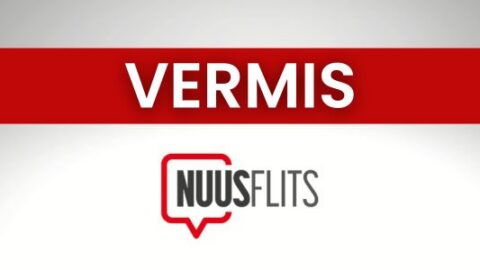 Vermis