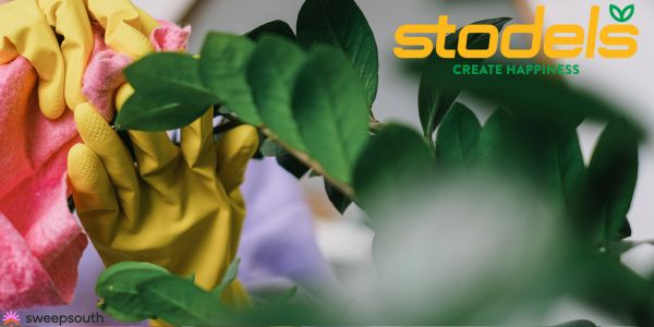 Transformeer jou huis binne en buite met Stodels en SweepSouth