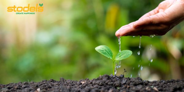 Plant therapy with Stodels