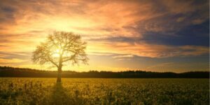 Why documents are needed after death in South Africa