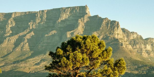 Tafelberg in Kaapstad