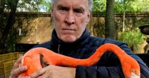 Mike Bolhuis holds a flamingo from the Mike Bolhuis Flamingo Project