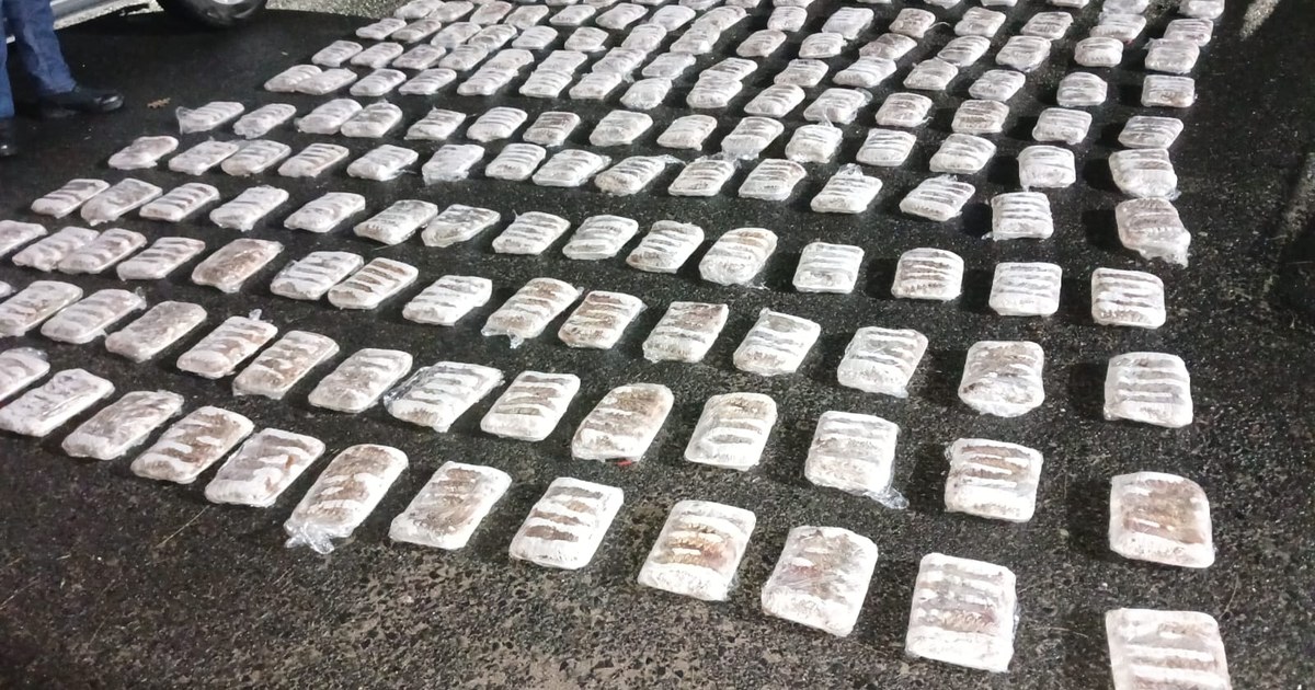 West Coast Rock Lobster tails laid out on the road after a seizure in Hout Bay
