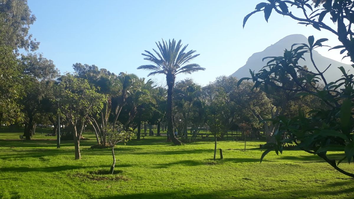 Grasperke, palms en bome in De Waalpark, Kaapstad